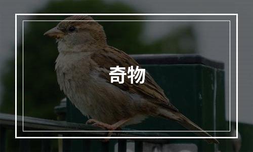 奇物