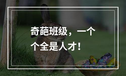 奇葩班级，一个个全是人才！
