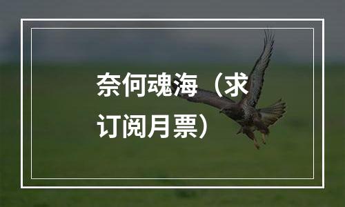 奈何魂海（求订阅月票）