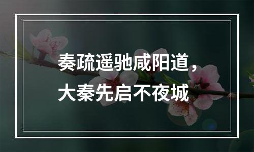 奏疏遥驰咸阳道，大秦先启不夜城