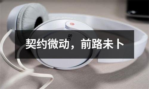 契约微动，前路未卜