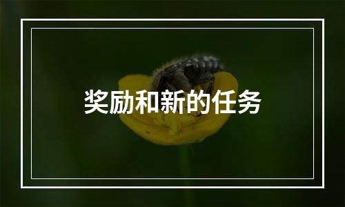 奖励和新的任务