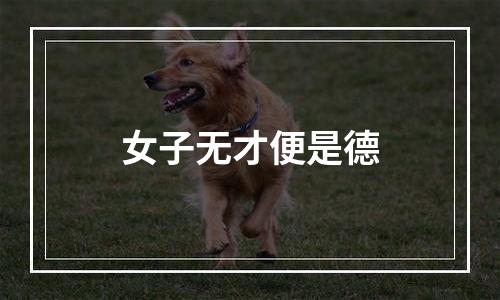 女子无才便是德
