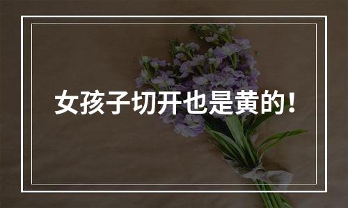 女孩子切开也是黄的！