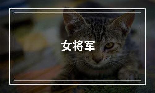 女将军