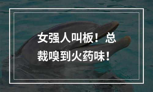 女强人叫板！总裁嗅到火药味！