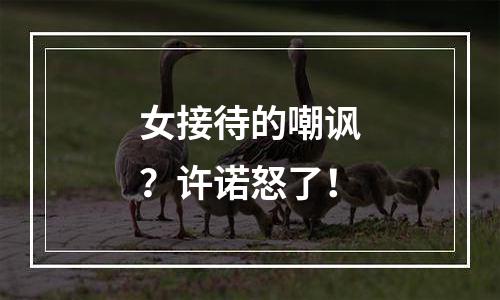 女接待的嘲讽？许诺怒了！