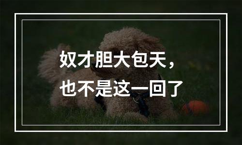 奴才胆大包天，也不是这一回了