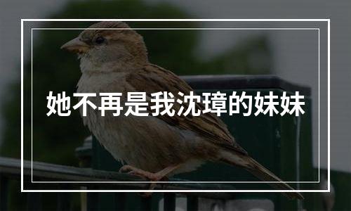 她不再是我沈璋的妹妹