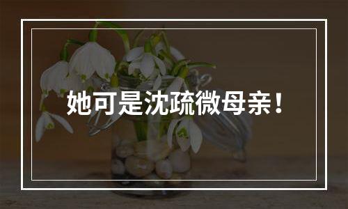 她可是沈疏微母亲！