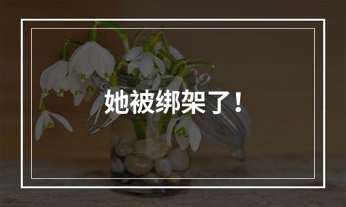 她被绑架了！