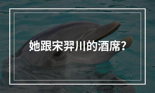 她跟宋羿川的酒席？