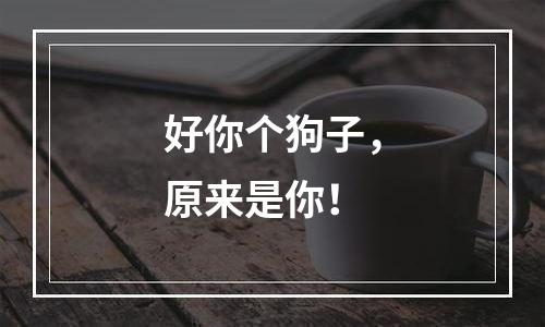 好你个狗子，原来是你！