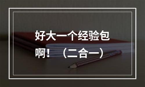 好大一个经验包啊！（二合一）