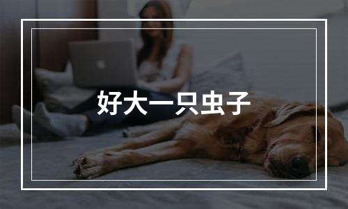 好大一只虫子