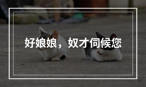 好娘娘，奴才伺候您