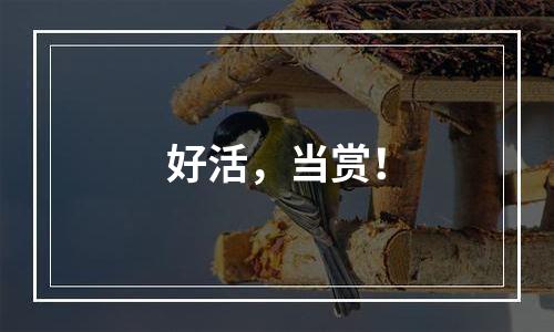 好活，当赏！