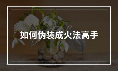 如何伪装成火法高手