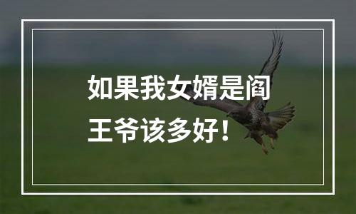 如果我女婿是阎王爷该多好！