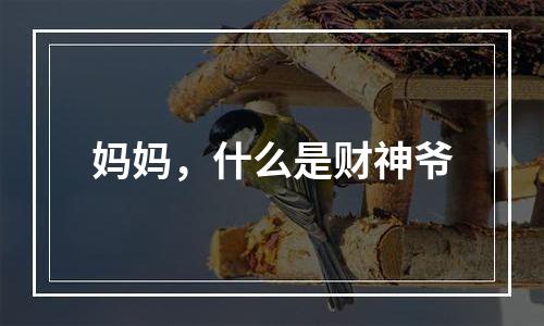 妈妈，什么是财神爷