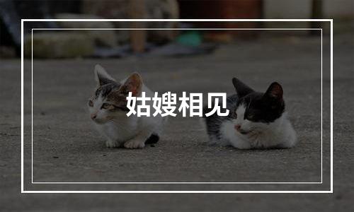 姑嫂相见