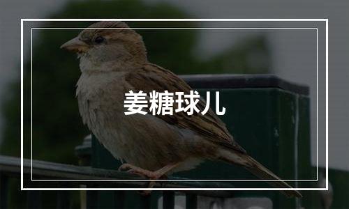 姜糖球儿
