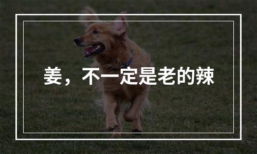 姜，不一定是老的辣