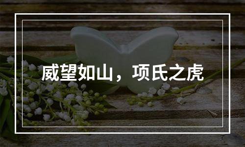 威望如山，项氏之虎