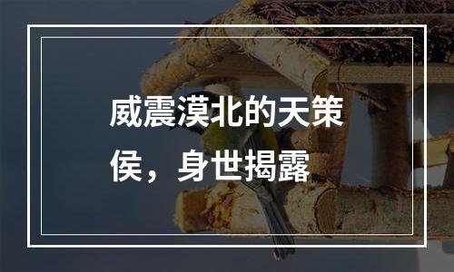 威震漠北的天策侯，身世揭露