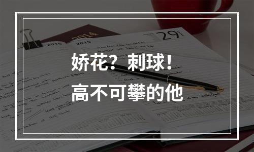 娇花？刺球！高不可攀的他