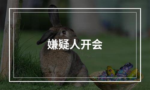 嫌疑人开会