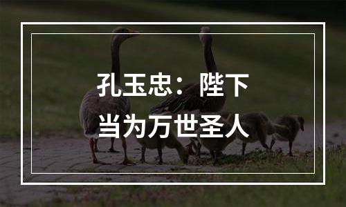 孔玉忠：陛下当为万世圣人
