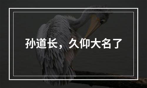 孙道长，久仰大名了