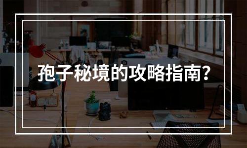 孢子秘境的攻略指南？