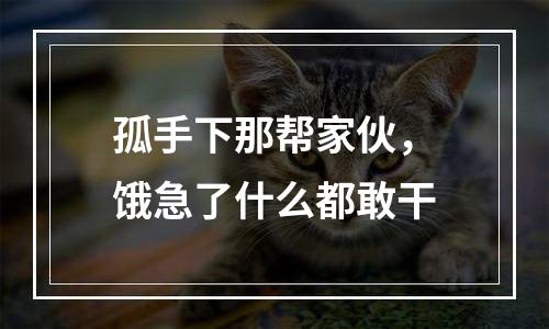 孤手下那帮家伙，饿急了什么都敢干