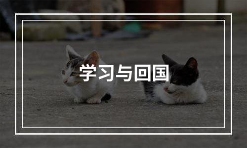 学习与回国