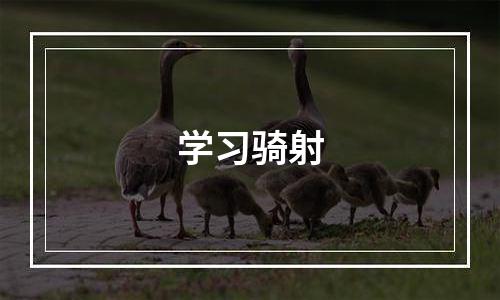 学习骑射