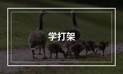 学打架