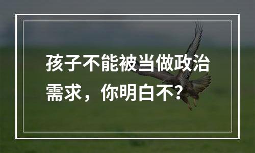 孩子不能被当做政治需求，你明白不？