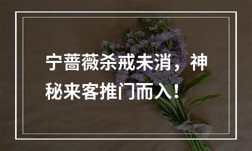 宁蔷薇杀戒未消，神秘来客推门而入！