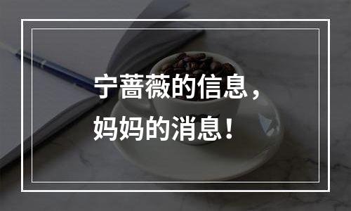 宁蔷薇的信息，妈妈的消息！