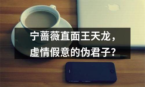 宁蔷薇直面王天龙，虚情假意的伪君子？