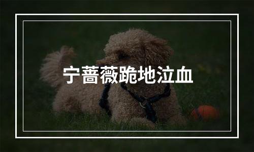 宁蔷薇跪地泣血