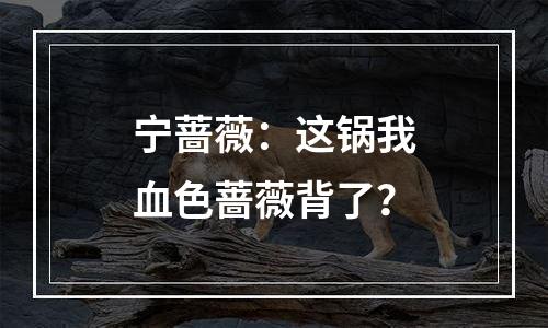 宁蔷薇：这锅我血色蔷薇背了？