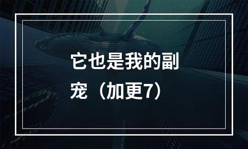 它也是我的副宠（加更7）
