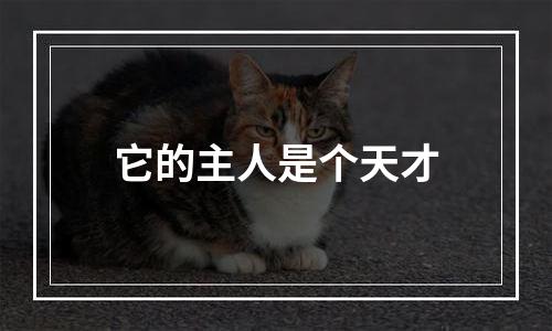 它的主人是个天才