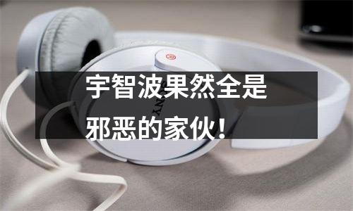 宇智波果然全是邪恶的家伙！