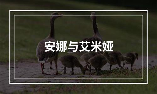 安娜与艾米娅