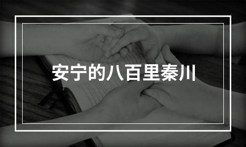 安宁的八百里秦川