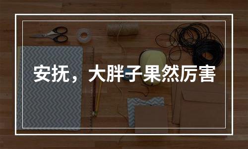 安抚，大胖子果然厉害